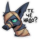 Набор стикеров «Шакальчик»