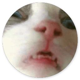 Сломанная кошка