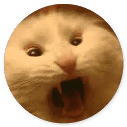 Сломанная кошка