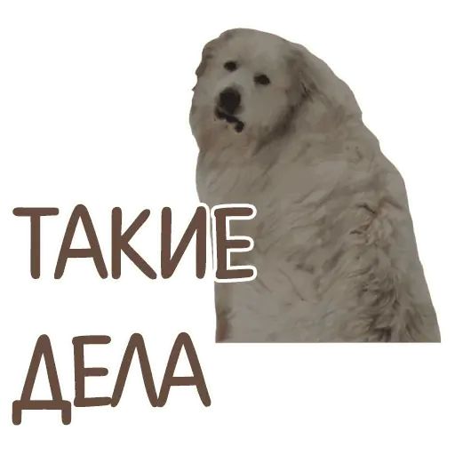 Стикер «Отбитые-11»